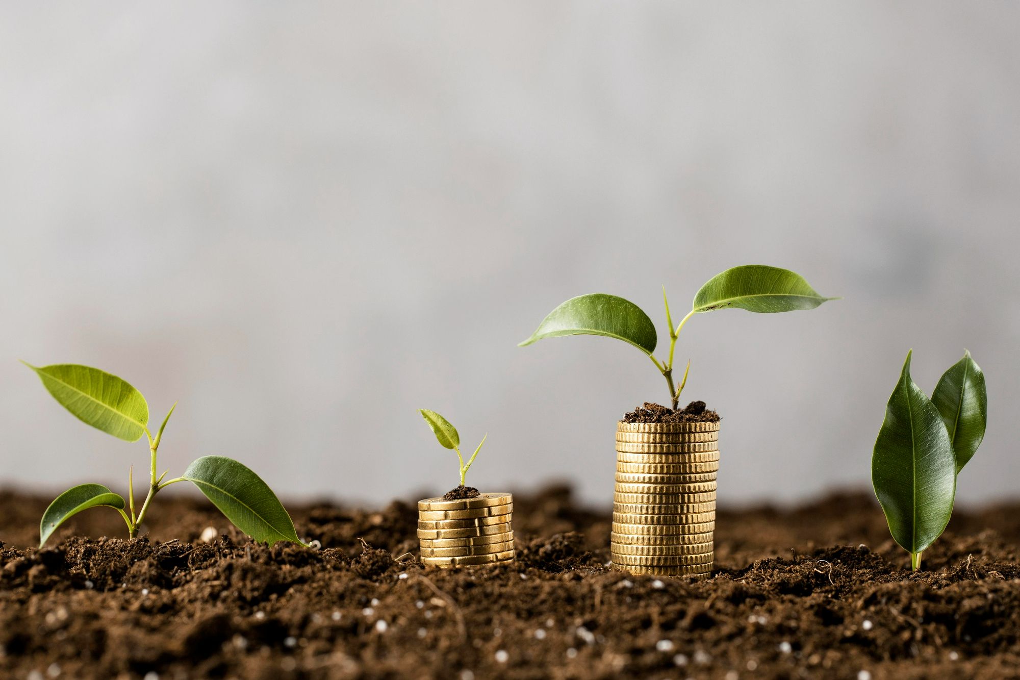 Pilhas de moedas com mudas crescendo sobre elas, representando a viabilidade de financiamentos para projetos de retrofit com foco em práticas ESG e sustentabilidade.