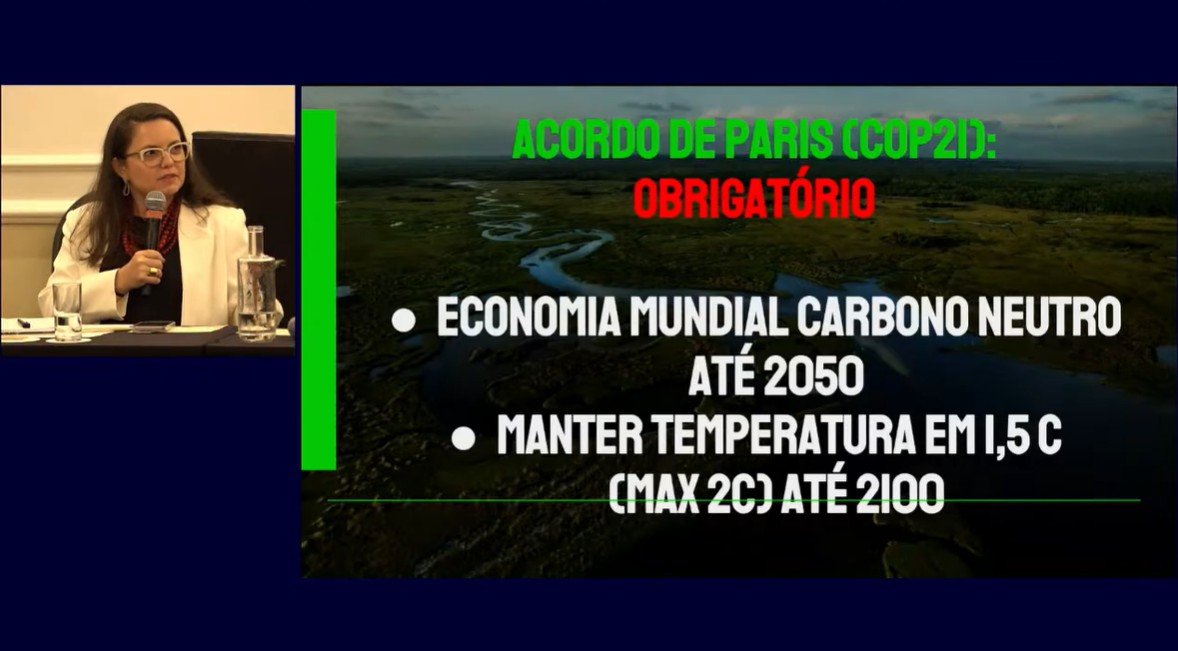Tela dividida mostrando Jaqueline Gil à esquerda e, à direita, um slide sobre o Acordo de Paris no qual se pode ler as seguintes metas: "economia carbono-neutro até 2050" e "manter temperatura em 1,5°C até 2100".