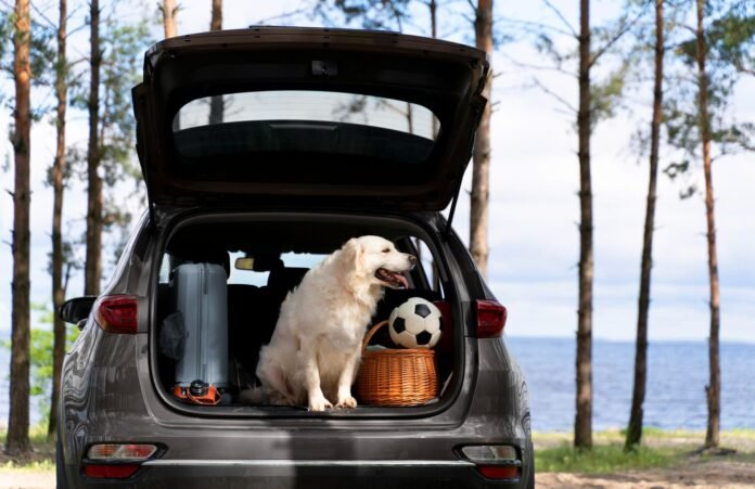 Cachorro da raça Golden Retriever sentado dentro do porta-malas aberto de um carro SUV cinza. Ao lado do cão há uma mala de rodinhas, uma câmera fotográfica e uma cesta de vime com uma bola de futebol. O veículo está estacionado perto de pinheiros, em frente a um lago, ilustrando o turismo pet friendly na prática.