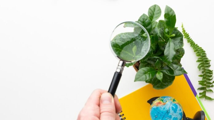 Mão segura uma lupa para examinar as folhas verdes com gotas de água de uma planta em um vaso, sobre um fundo branco. Ao lado estão um caderno amarelo e um pequeno globo terrestre. A imagem conceitual simboliza a verificação minuciosa e a busca por evidências reais de sustentabilidade e práticas ESG em hotéis.